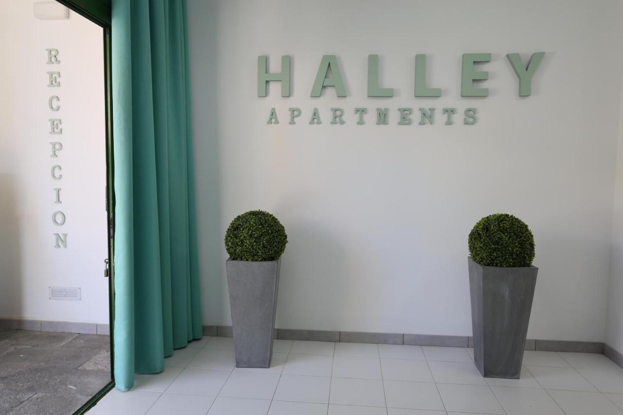 Halley Rooms Mogán Eksteriør billede
